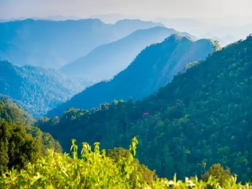 Cardamom_Hills_in_the_haze_on_the_road_Alleppey