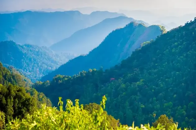 Cardamom_Hills_in_the_haze_on_the_road_Alleppey
