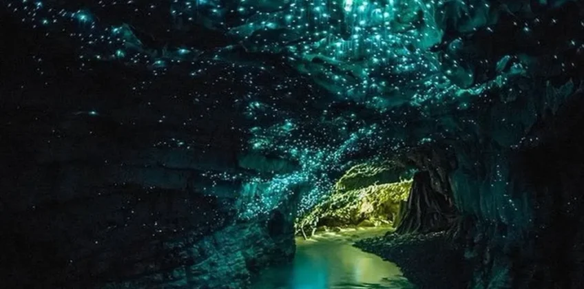 Glorious-Glow-Worm-Grotto