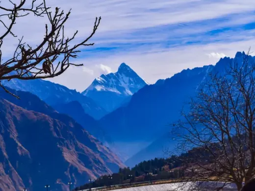 Himalaya542222236_1_687x478