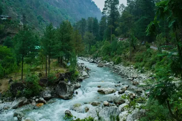 Inside_the_Great_Himalayan_National_park_in_Tirthan_Valley