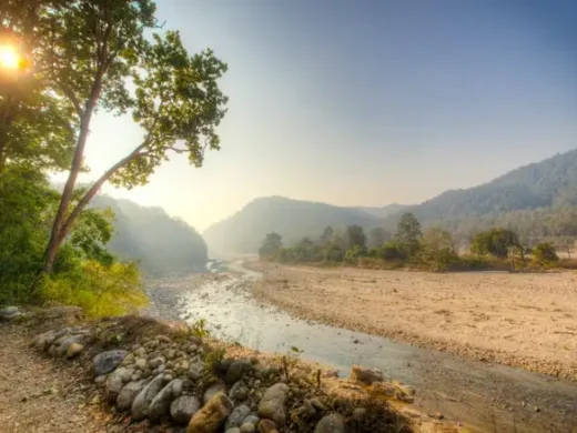 Jim_corbett_safari_2 (1)