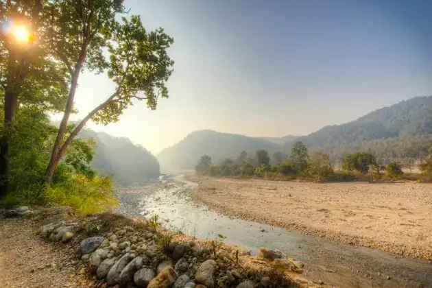 Jim_corbett_safari_2 (1)