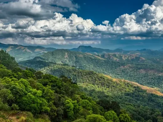 Mountain_view (1)