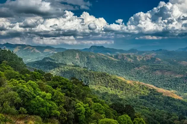 Mountain_view (1)