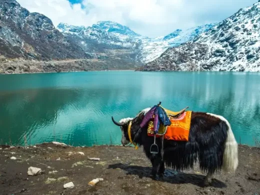 Tsangmo_Lake_in_Sikkim__India