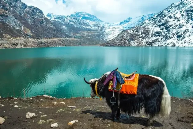 Tsangmo_Lake_in_Sikkim__India