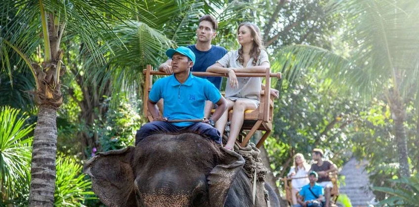 bali11