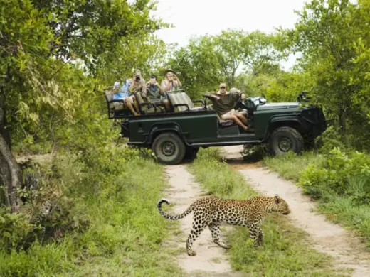 leopard_spotting_in_Yala_National_Park