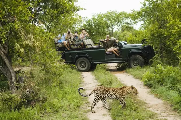 leopard_spotting_in_Yala_National_Park