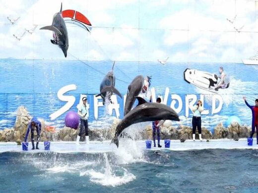 Safari-World-Kesari-Tours