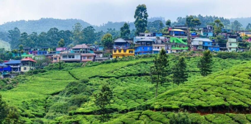 jpeg-optimizer_munnar-hill-station